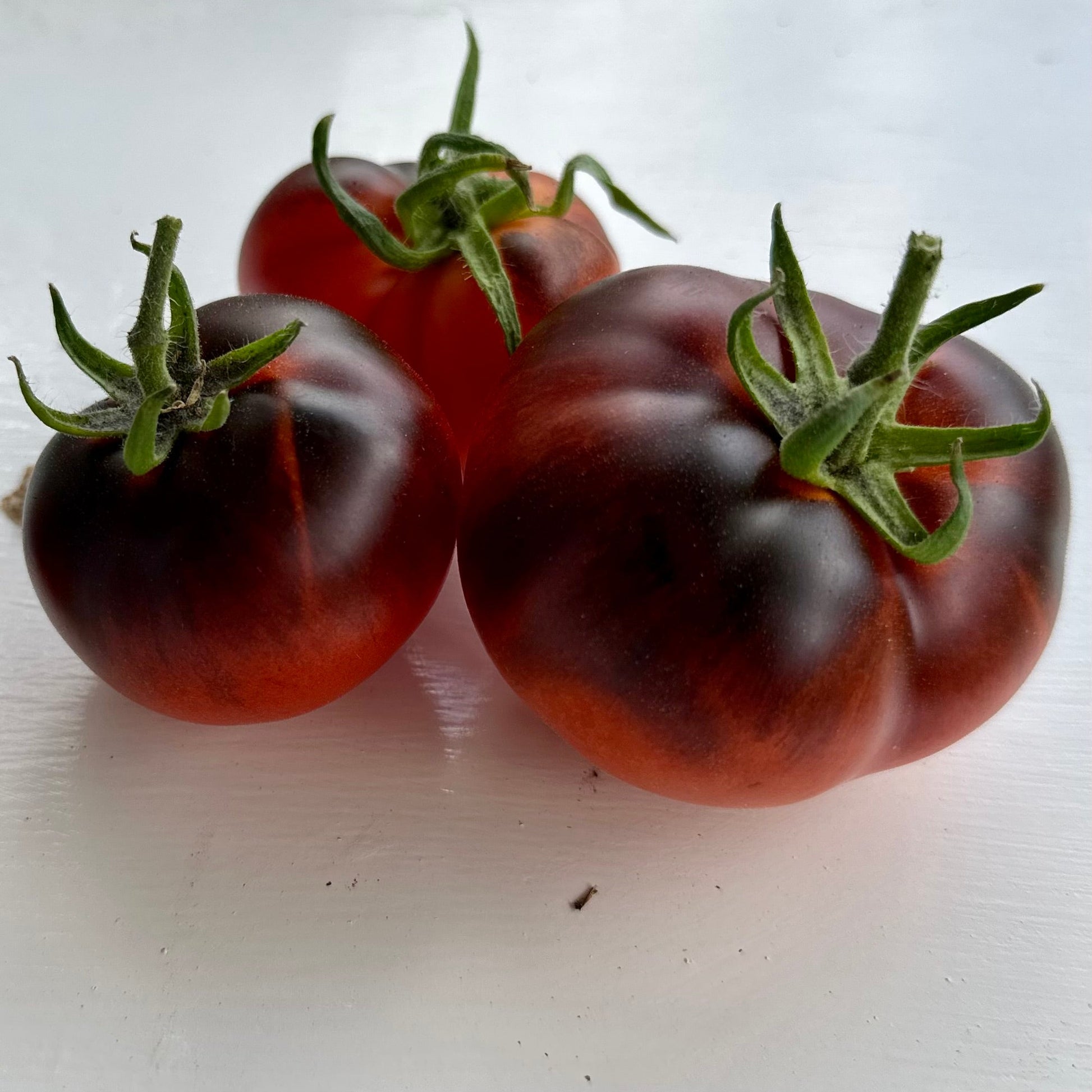 Tomato 'Black and Red' Seeds - Hollyhock Hill