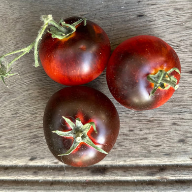 Tomato 'Black and Red' Seeds - Hollyhock Hill