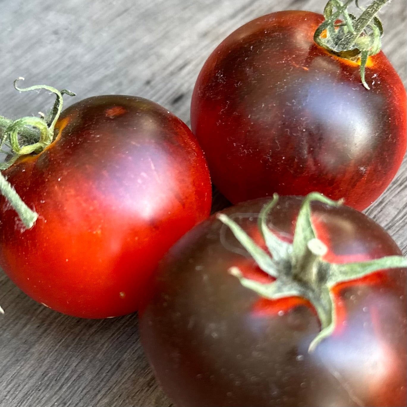 Tomato 'Black and Red' Seeds - Hollyhock Hill