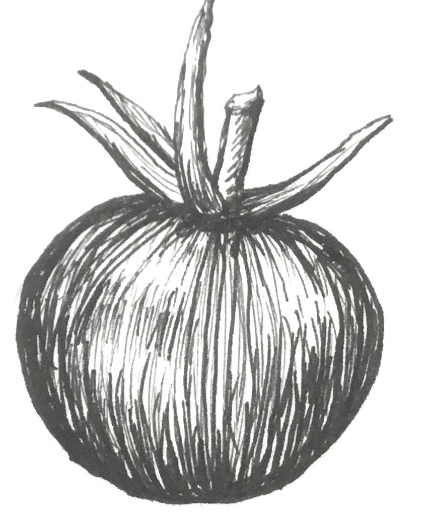 Tomato 'Black Cherry' Seeds - Hollyhock Hill