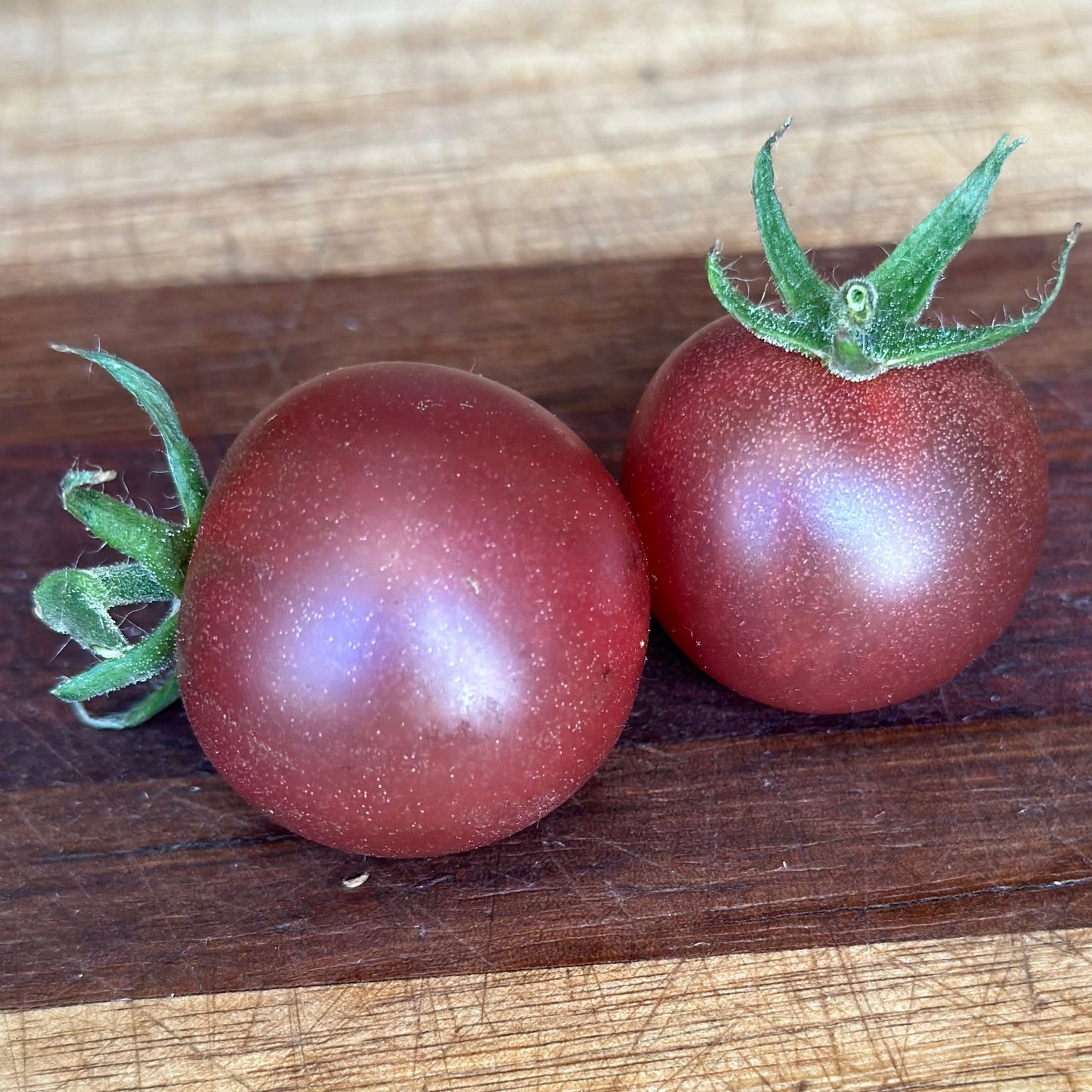 Tomato 'Black Cherry' Seeds - Hollyhock Hill