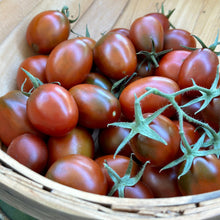 Load image into Gallery viewer, Tomato &#39;Black Plum&#39; Seeds - Hollyhock Hill
