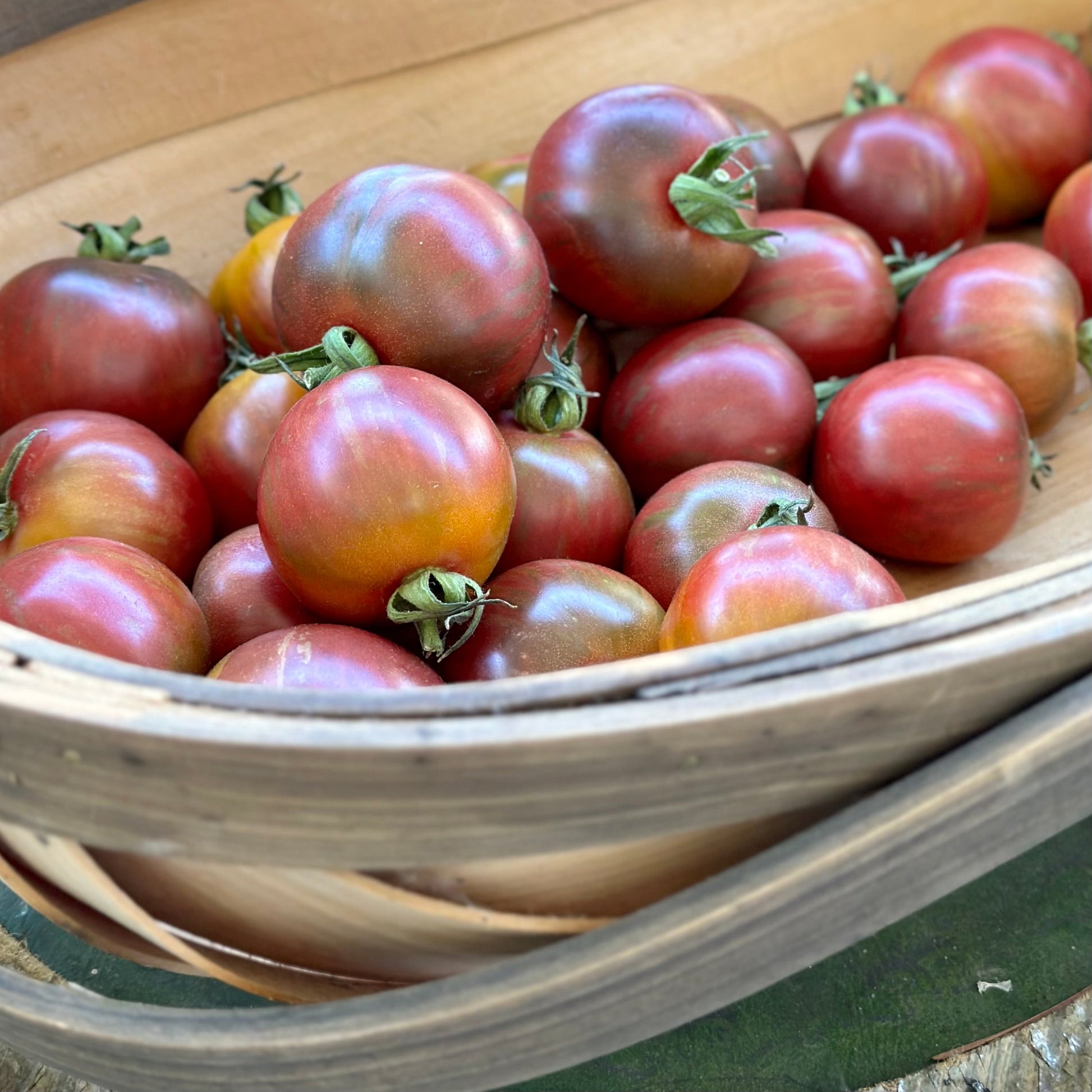 Tomato 'Black Zebra Cherry’ Seeds - Hollyhock Hill