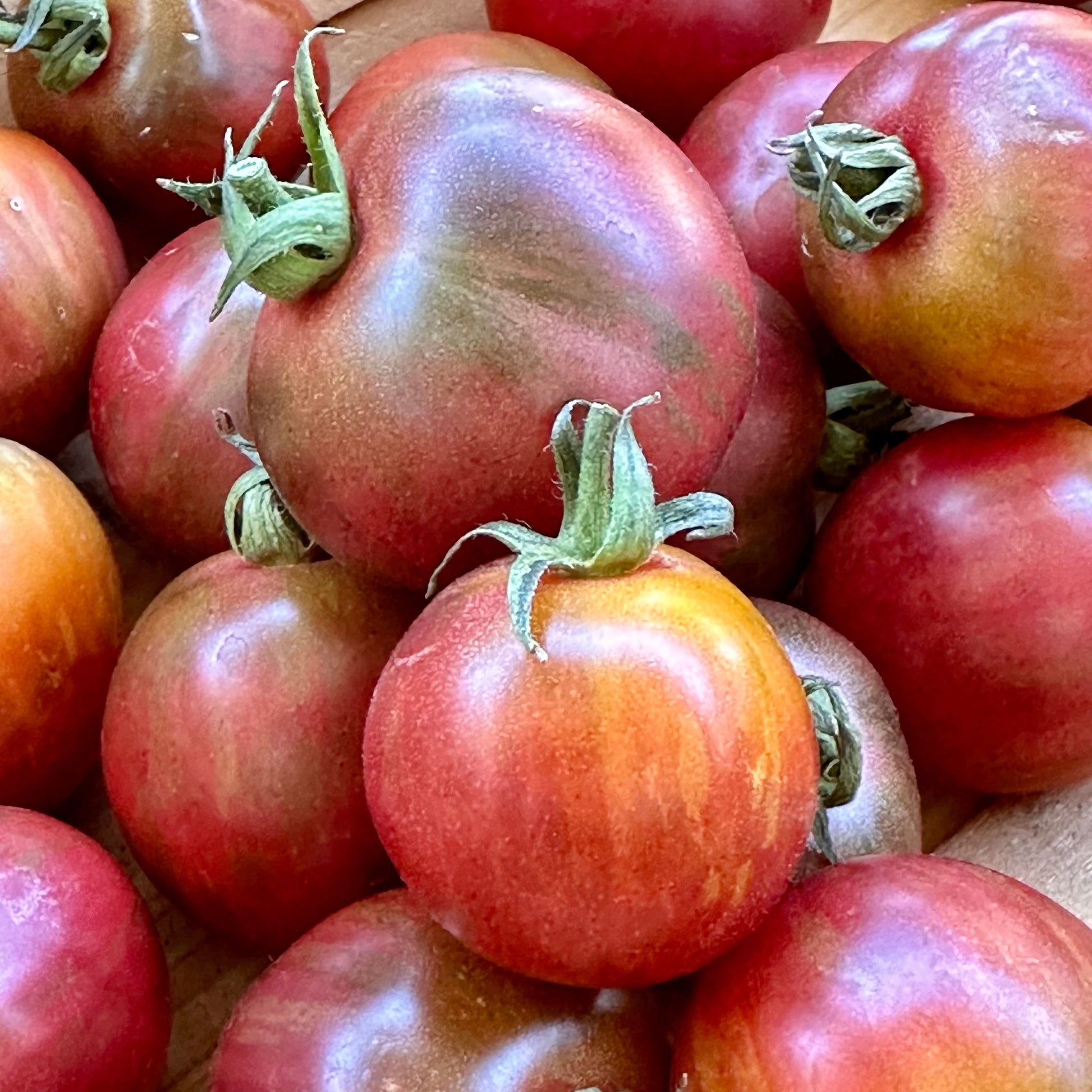 Tomato 'Black Zebra Cherry’ Seeds - Hollyhock Hill