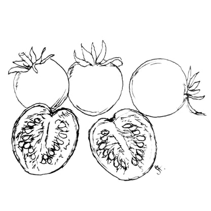 Tomato Cherry Mix Seeds - Hollyhock Hill