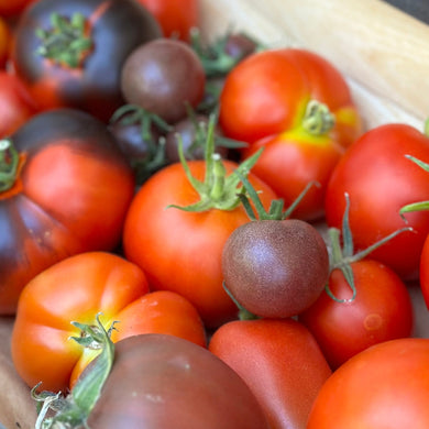 Tomato Heirloom Mixed Seeds - Hollyhock Hill