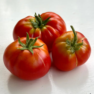 Tomato 'Silvery Fir Tree' Seeds - Hollyhock Hill