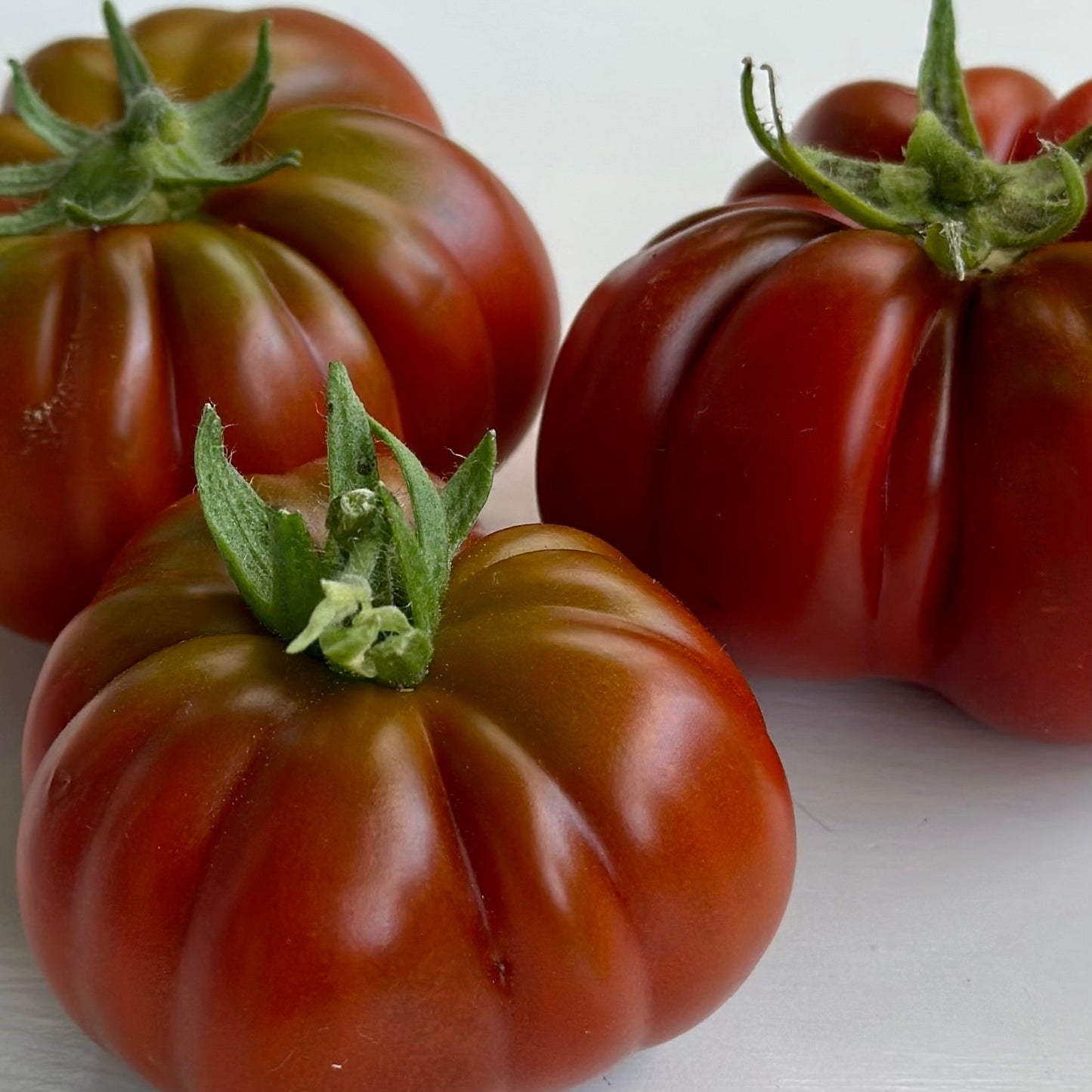 Tomato 'Sleeping Lady’ Seeds - Hollyhock Hill
