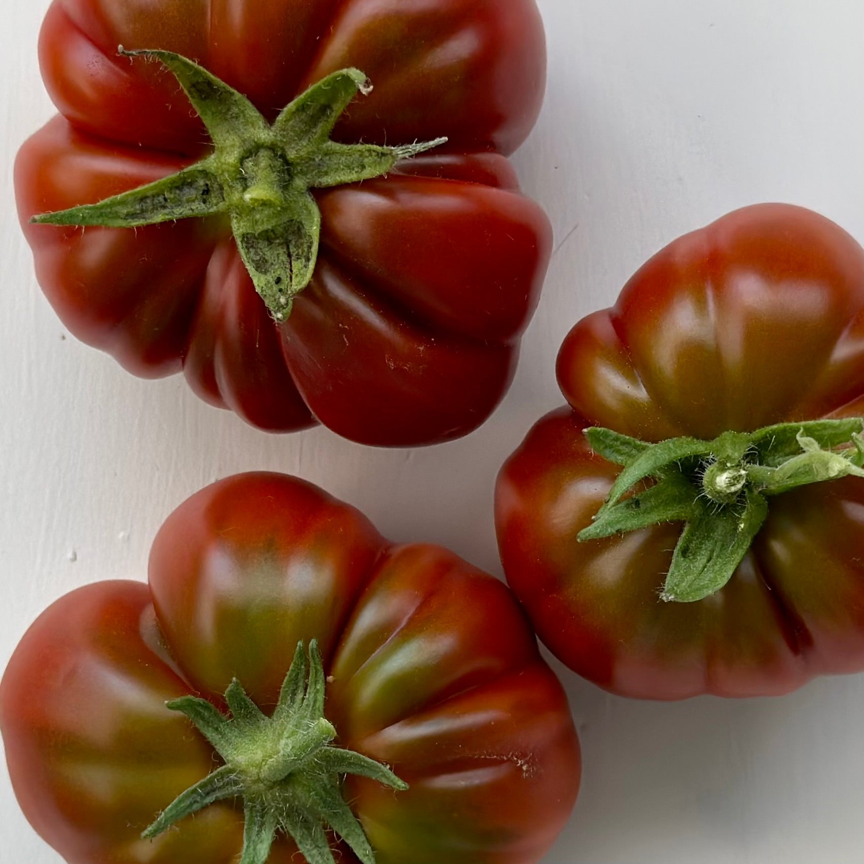 Tomato 'Sleeping Lady’ Seeds - Hollyhock Hill