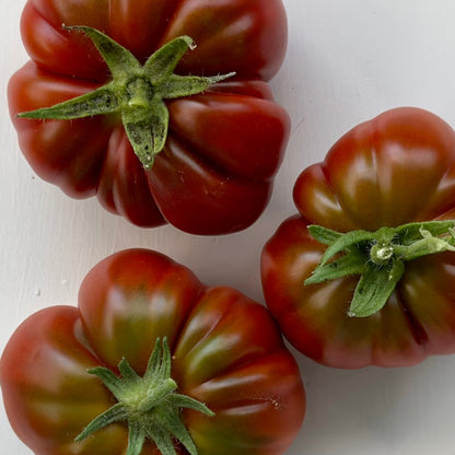 Tomato 'Sleeping Lady’ Seeds - Hollyhock Hill