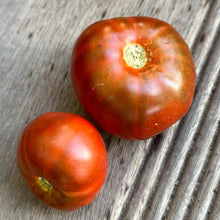 Load image into Gallery viewer, Tomato &#39;Tasmanian Chocolate&#39; Seeds - Hollyhock Hill
