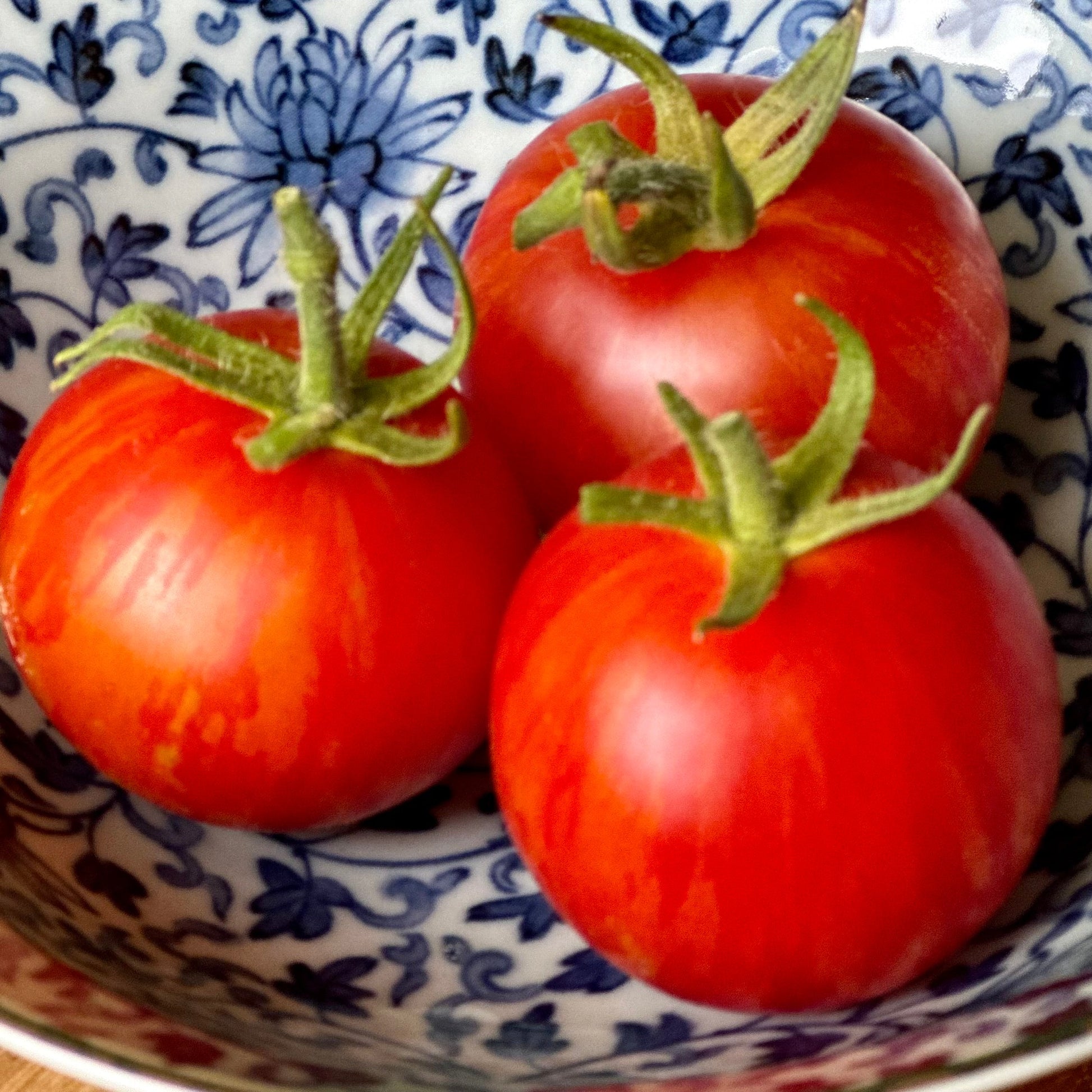 Tomato 'Tigerella' Certified Organic Seeds - Hollyhock Hill