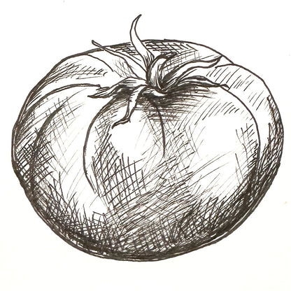 Tomato 'Walter' Seeds - Hollyhock Hill