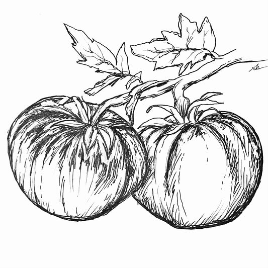 Tomato 'Cherokee Purple' Seeds