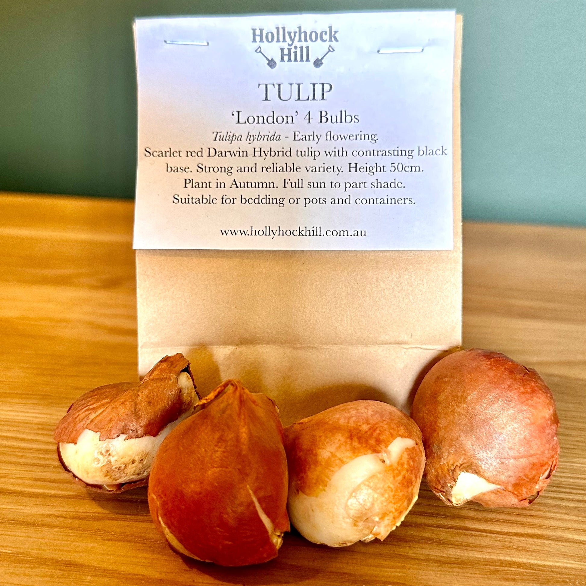 Tulip -'London'- 4 Bulbs - Hollyhock Hill
