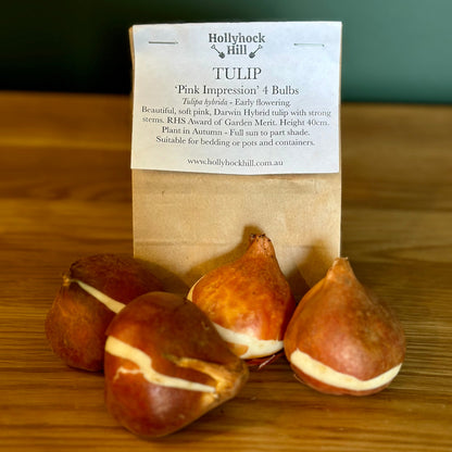Tulip -'Pink Impression'- 4 Bulbs - Hollyhock Hill