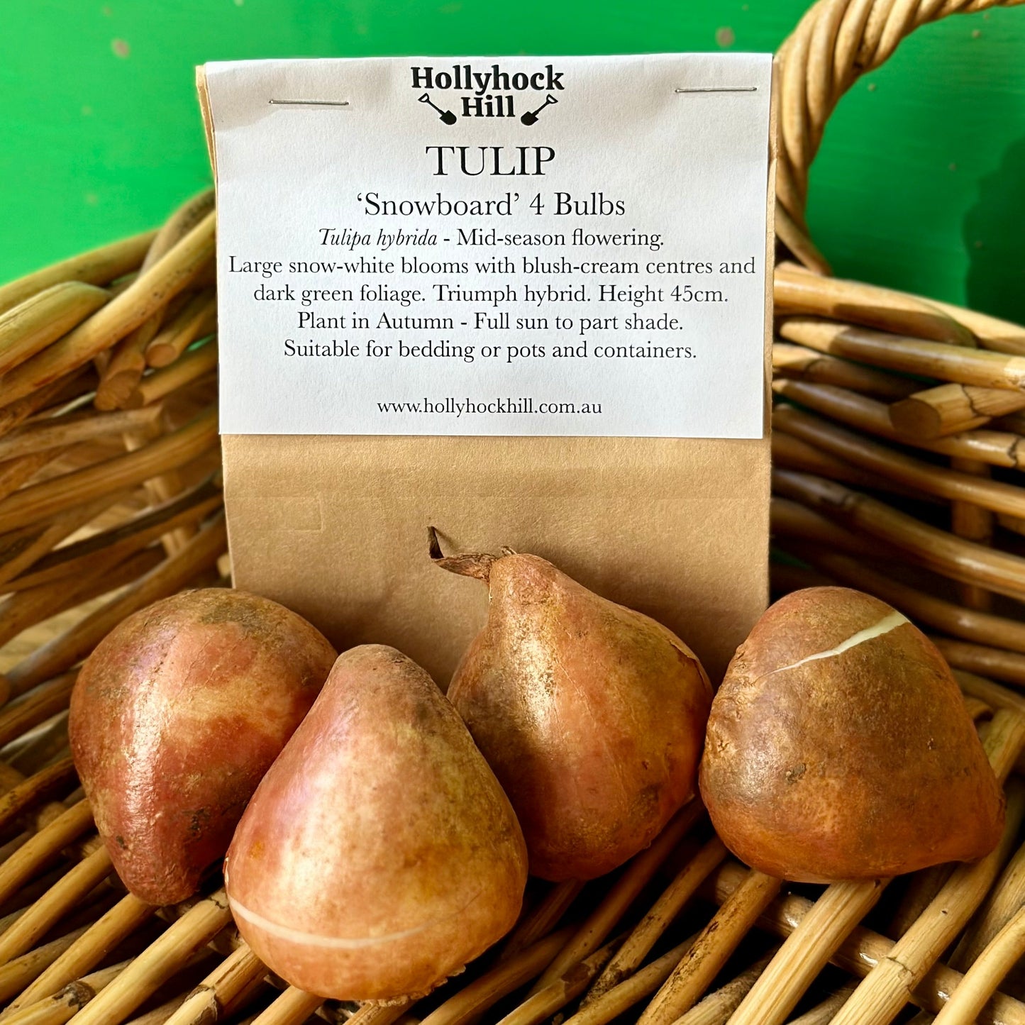 Tulip - 'Snowboard’ 4 Bulbs - Hollyhock Hill