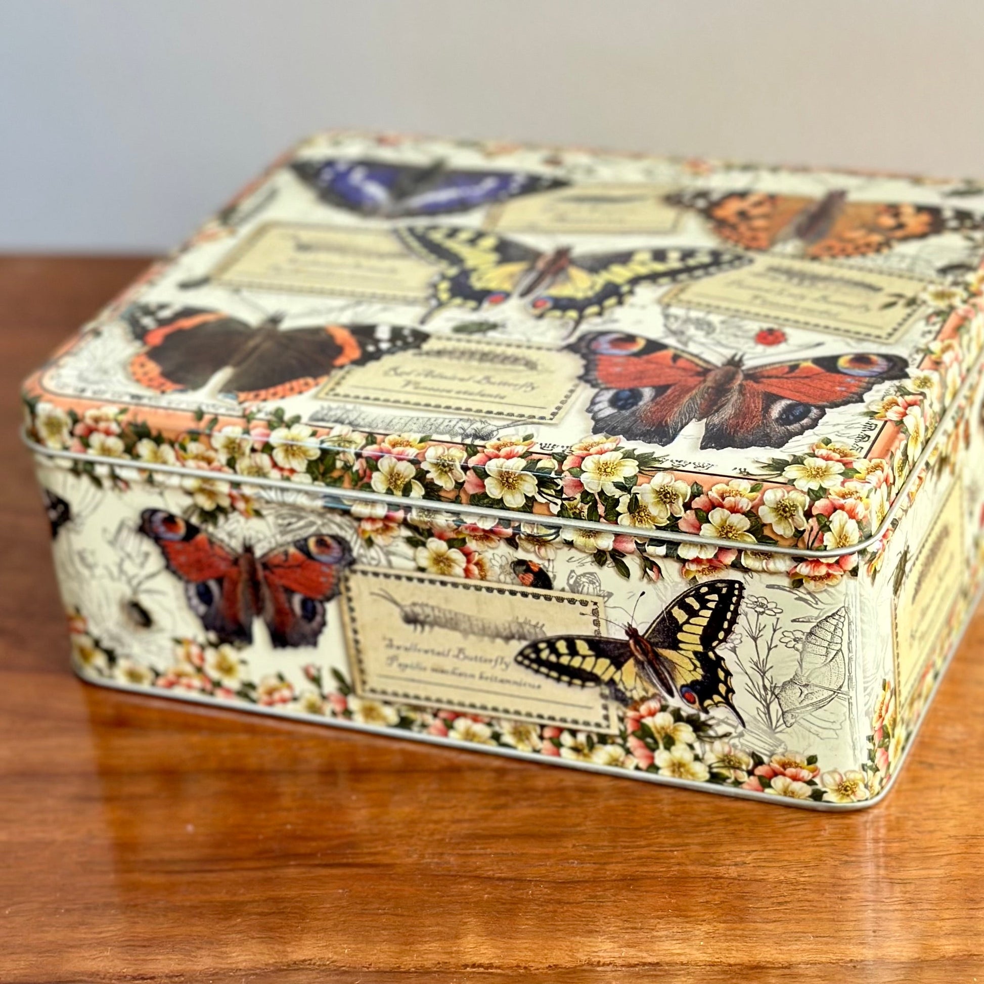 'Vintage Butterflies' by Elite Gift Boxes Large Rectangle Tin - Hollyhock Hill