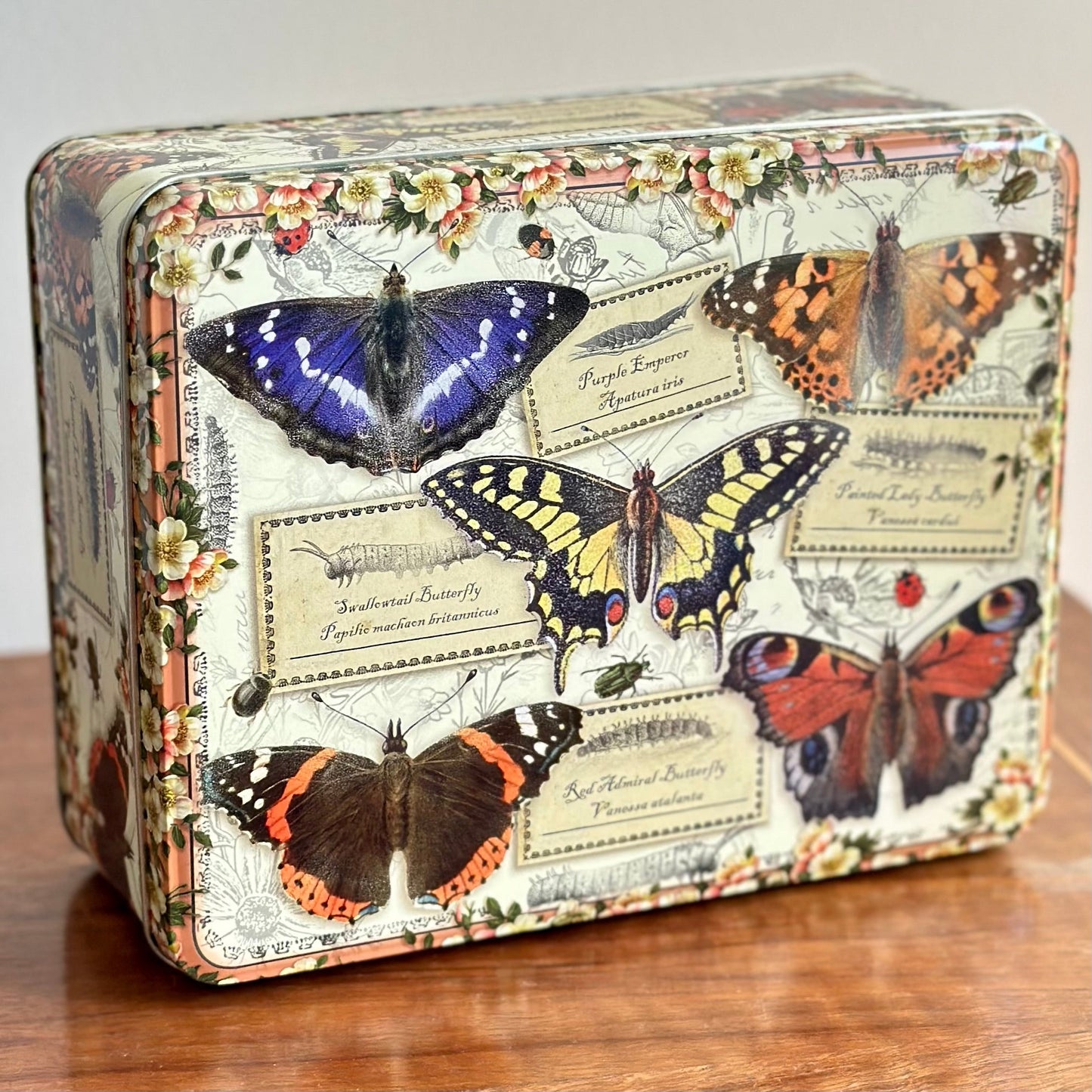 'Vintage Butterflies' by Elite Gift Boxes Large Rectangle Tin - Hollyhock Hill