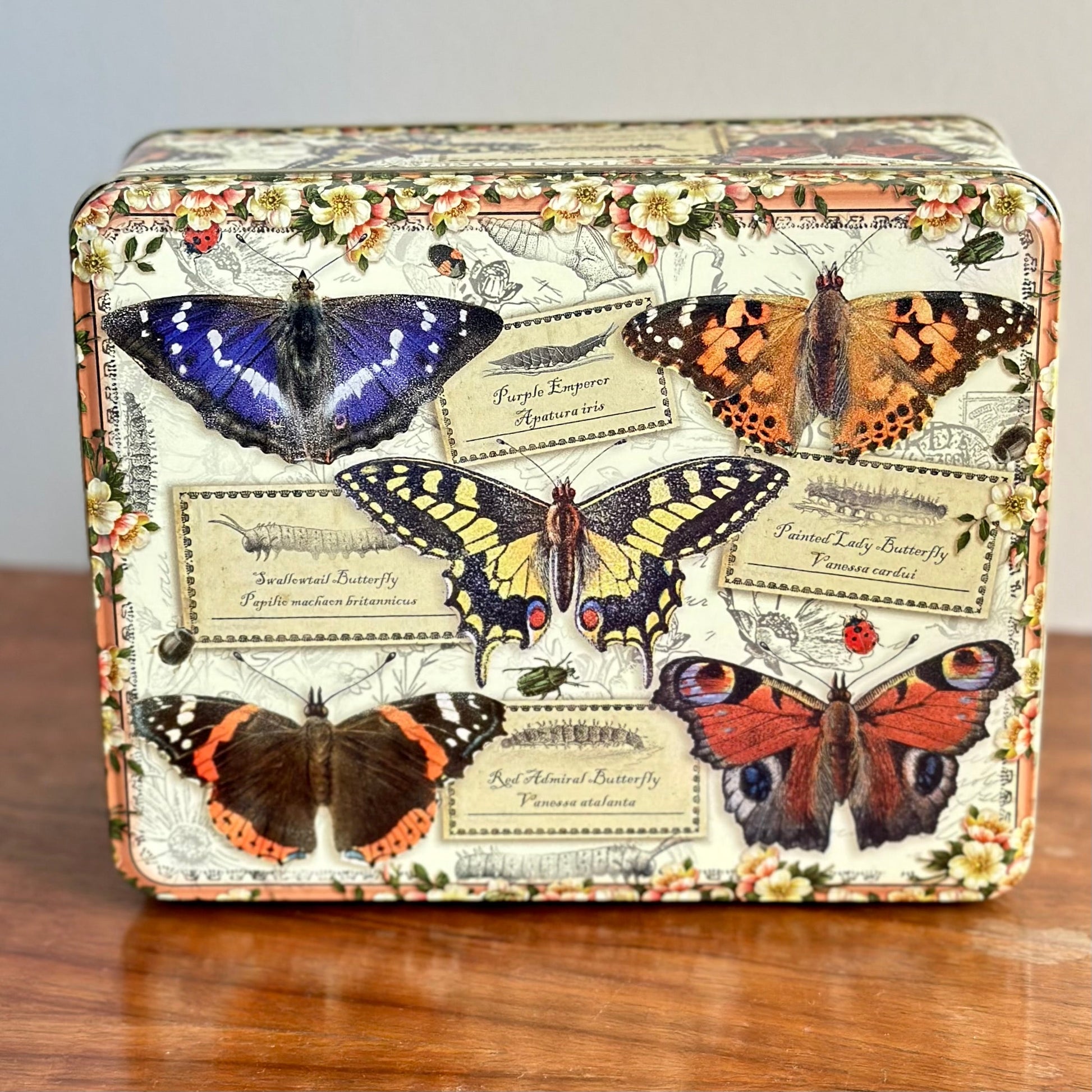 'Vintage Butterflies' by Elite Gift Boxes Large Rectangle Tin - Hollyhock Hill