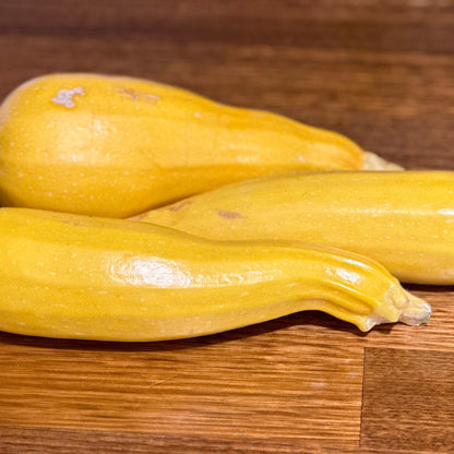 Zucchini 'Golden' Seeds - Hollyhock Hill