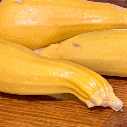 Zucchini 'Golden' Seeds - Hollyhock Hill